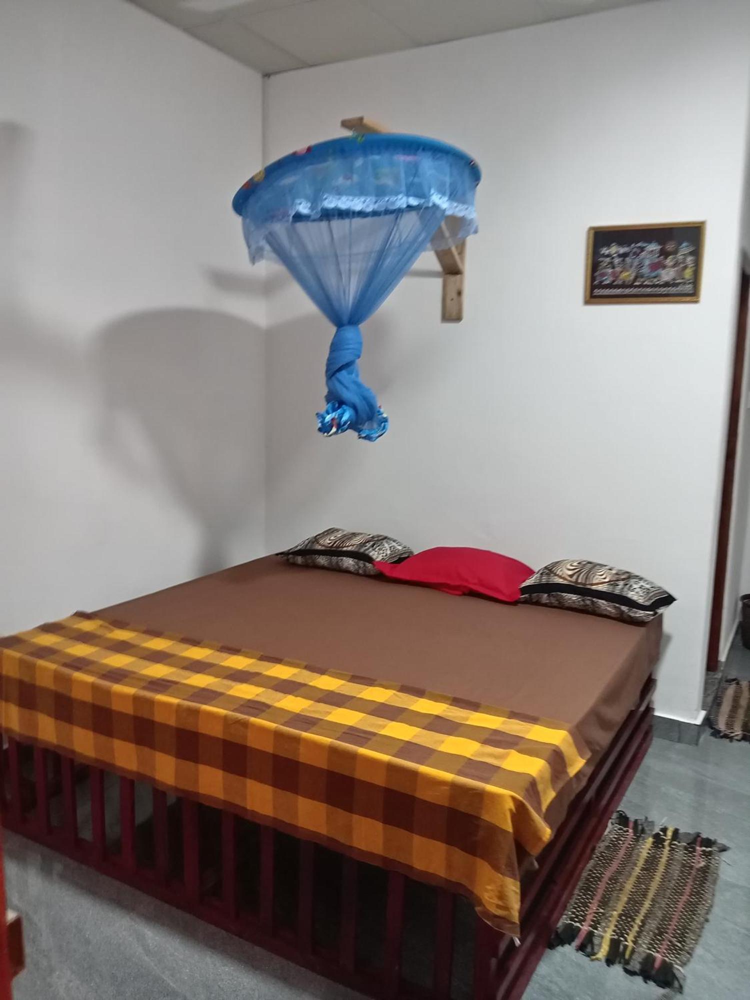 House Homestay *