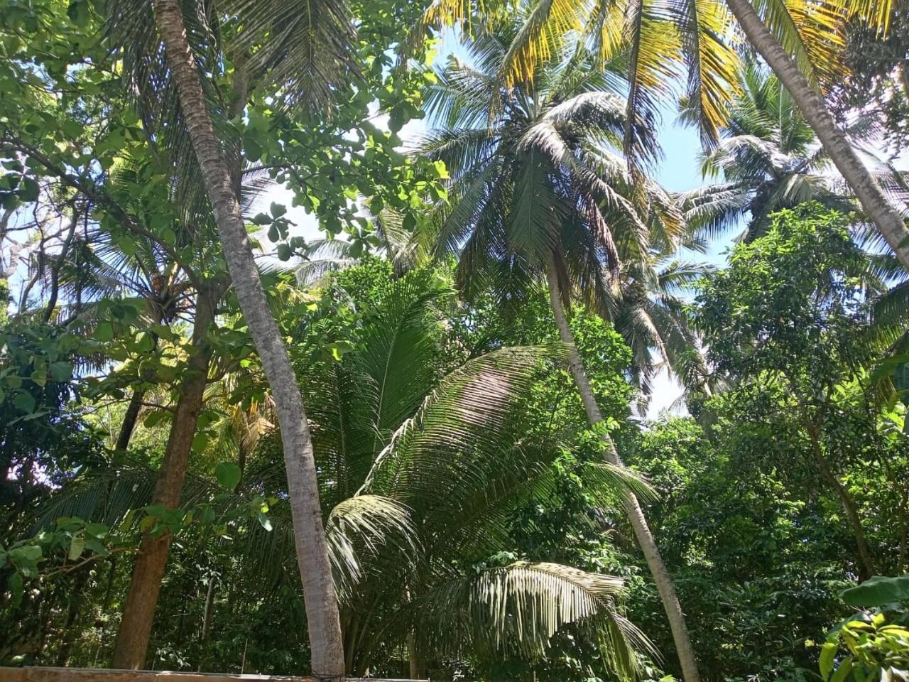 House Homestay Anuradhapura