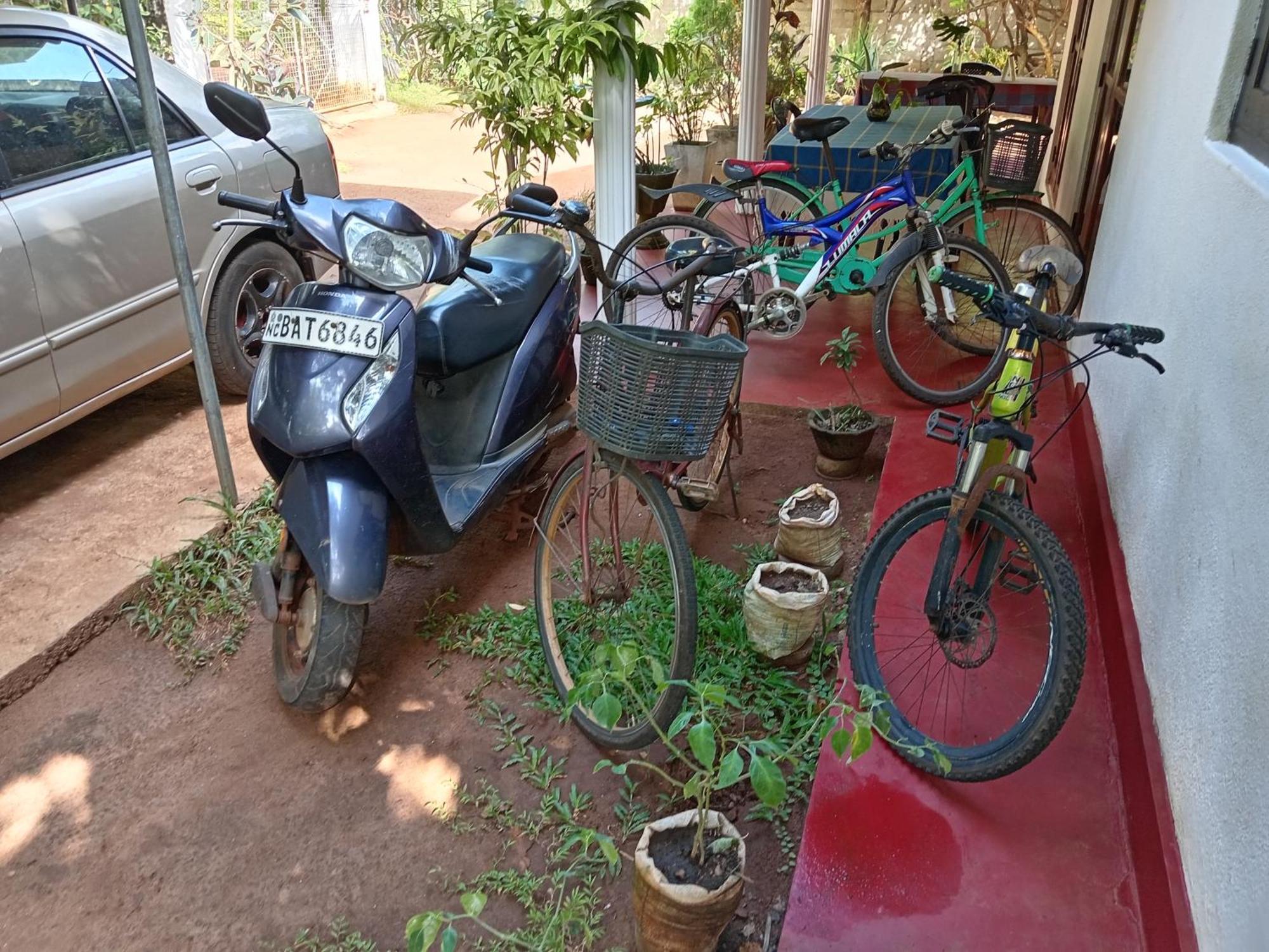 House Homestay